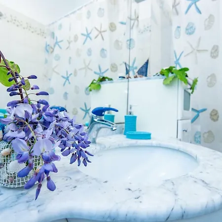 Sea Nest Apartment